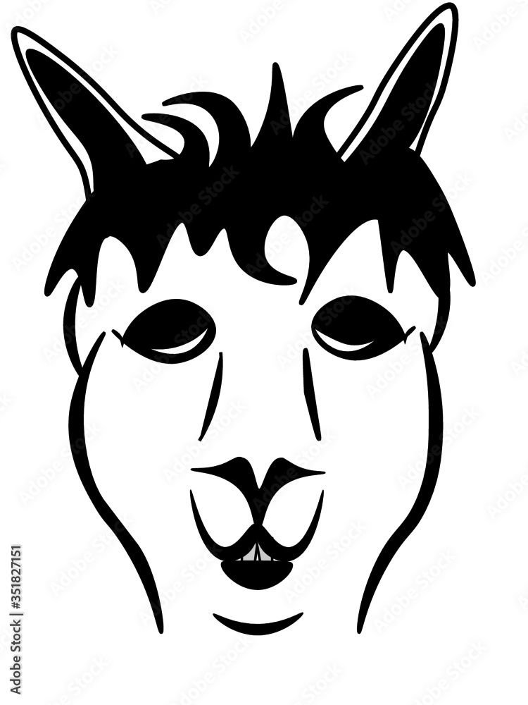 Fototapeta premium Alpaca