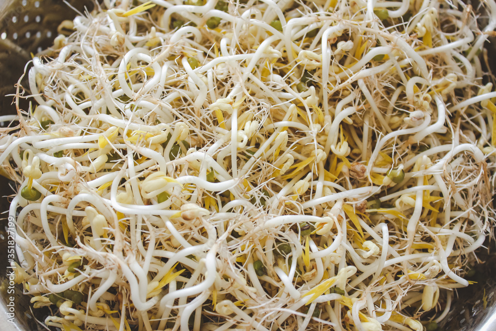 Fresh white sprouts of mung dal