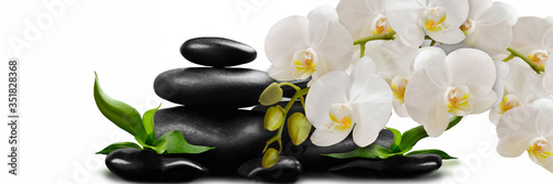 White Orchid flowers on black stones
