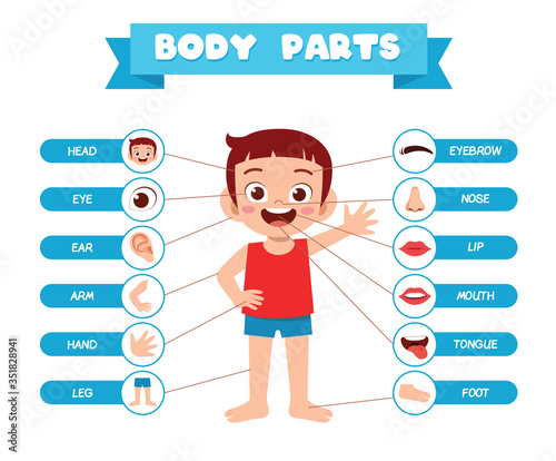 happy cute kid boy body part anatomy