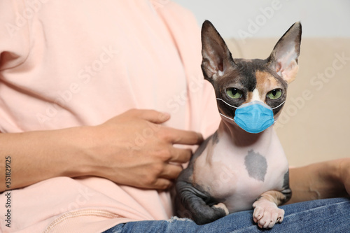 Cute sphynx cat in medical mask with owner indoors, closeup, Virus protection for animal