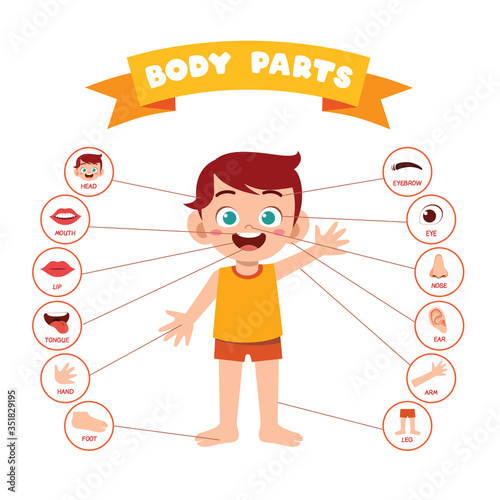 happy cute kid boy body part anatomy