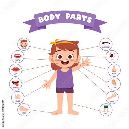 happy cute kid girl body part anatomy