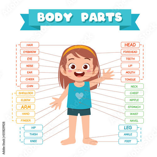 happy cute kid girl body part anatomy
