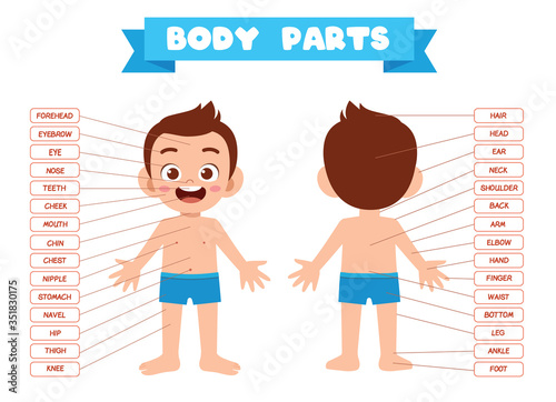 happy cute kid boy body part anatomy