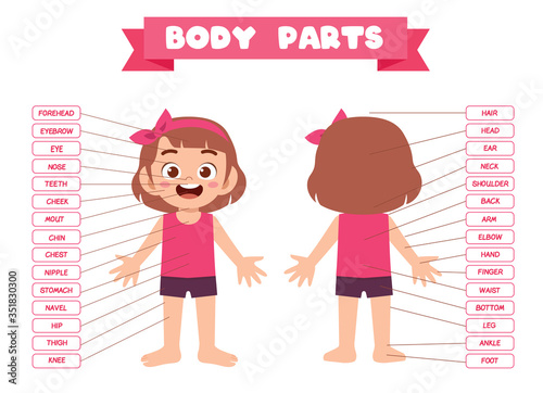 happy cute kid girl body part anatomy