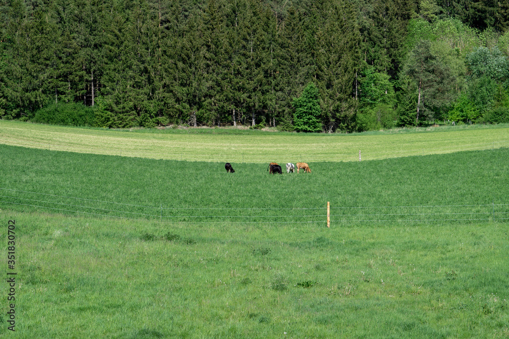 Dietingen bei Rottweil