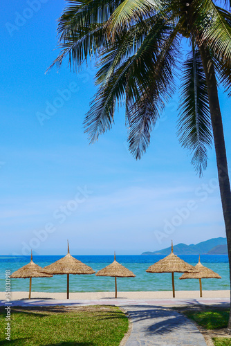 Vertical picture of empty beach with palm, umbrella and blue sky scenery, in Nha Trang, Vietnam