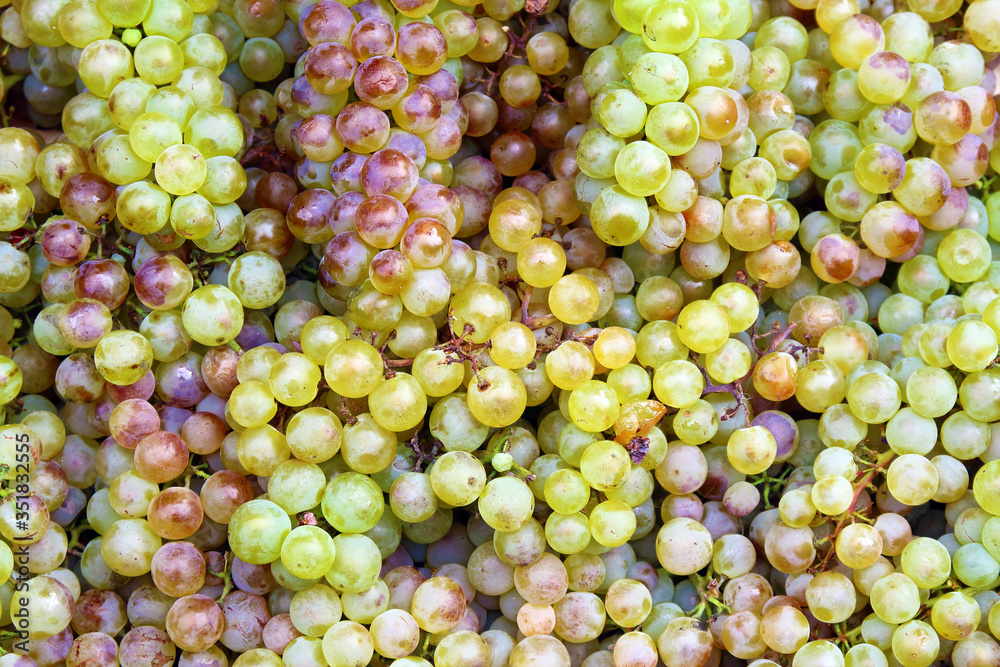Grapes background.