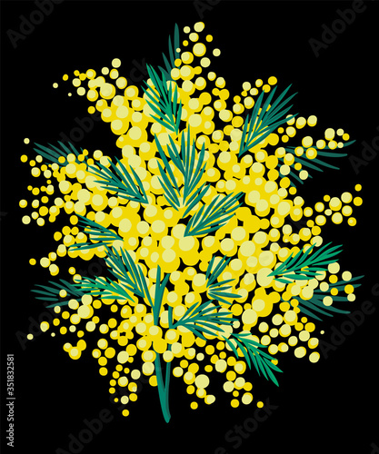 Vector floral seamless illustration with garden flowers. Bouquet made of mimosa flowers and greenery twigs. Bright botanical background. Spring nature ornament.