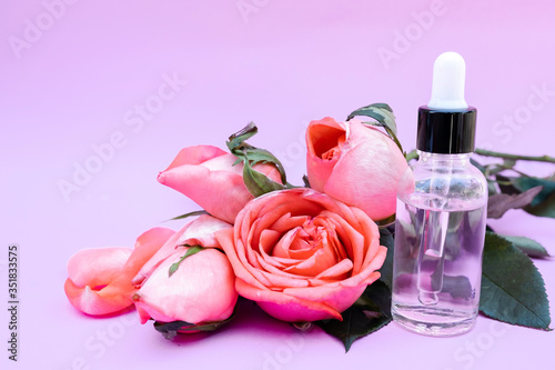 Essential oil, Rose flower, Rose perfume on white background, spa aromatherapy