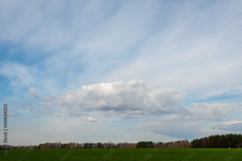 green field and sky green field and sky