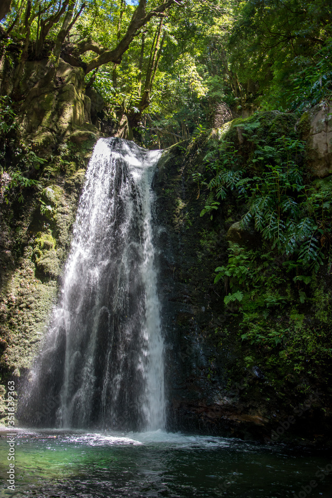 Obraz premium walk and discover the prego salto waterfall on the island of sao miguel, azores
