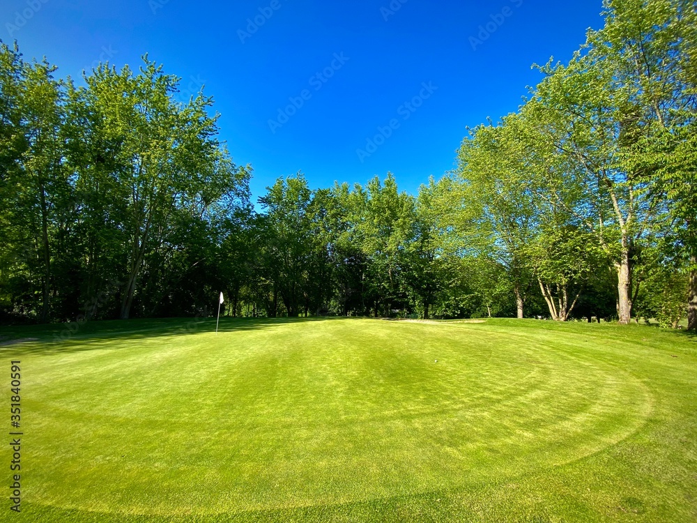 Obraz premium on the green