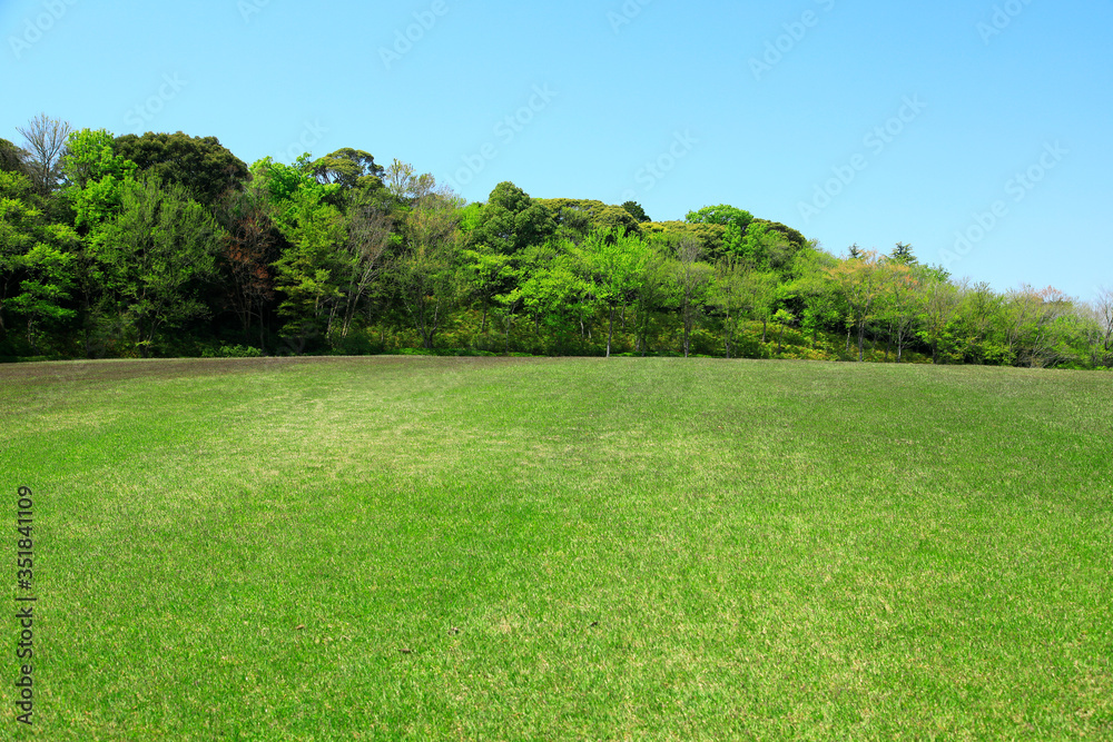 Fototapeta premium 芝生広場 芝生公園 グリーンパーク 市民公園 緑化イメージ グリーン 芝生 広場