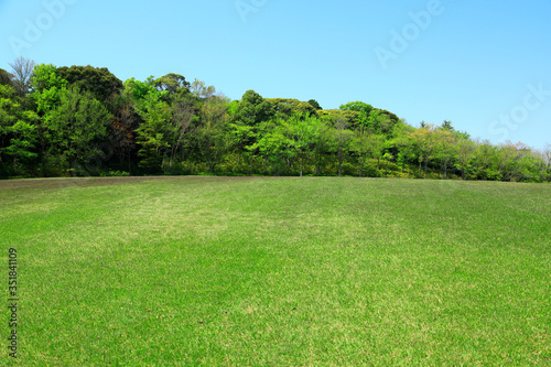 芝生広場　芝生公園　グリーンパーク　市民公園　緑化イメージ　グリーン　芝生　広場