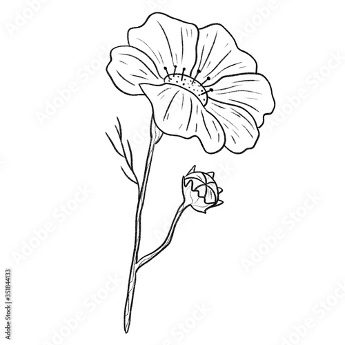 Beautiful monochrome line floral illustration on white background. Hand-drawn leaf. Design greeting card and invitation of holiday. Line art raster illustration.