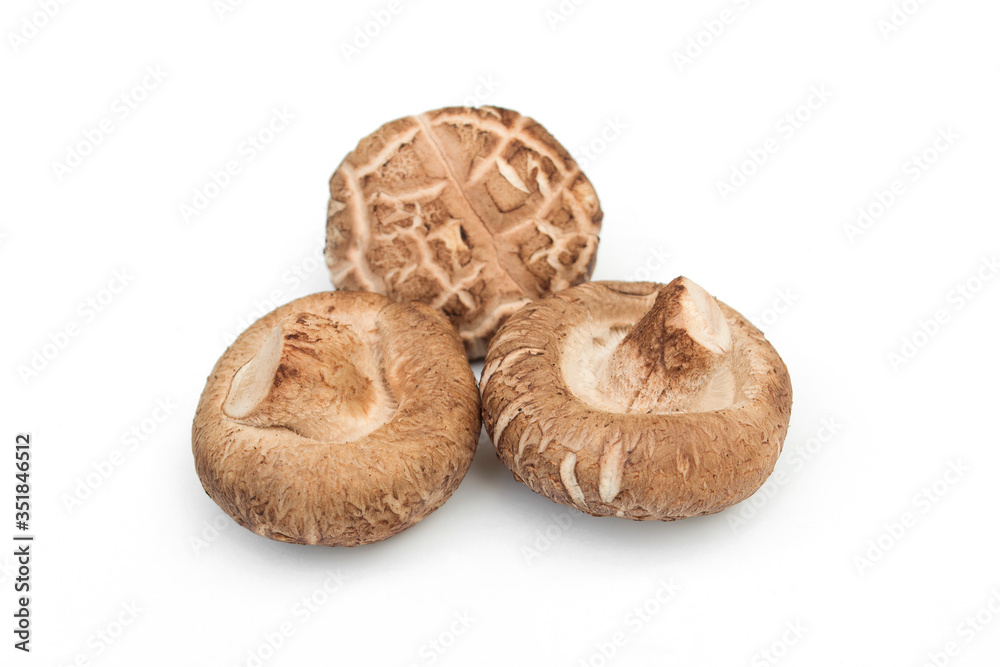 Shiitake mushroom isolated on white background. Shiitake mushroom isolated on white background.