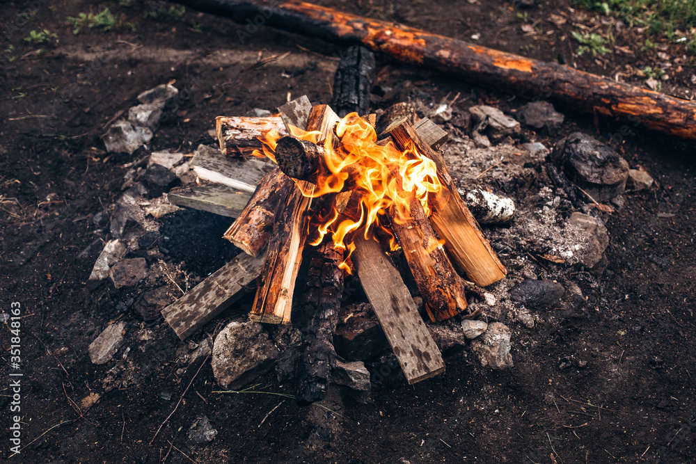 Photo of a bonfire flame in a forest glade. Close-up of fire. Trees, logs and firewood are burning. Camping center. Photo of a bonfire flame in a forest glade. Close-up of fire. Trees, logs and firewood are burning. Camping center.