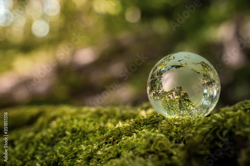 Environment conservation concept. Close up of glass globe in the forest with copy space © rangizzz