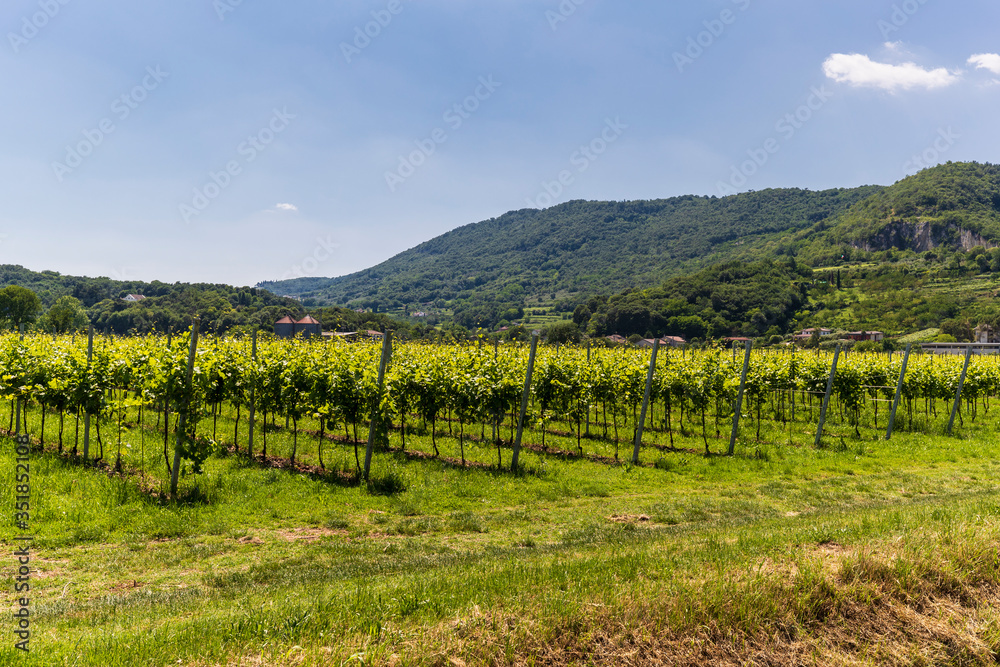 Fototapeta premium The Berici Hills landscape in Italy
