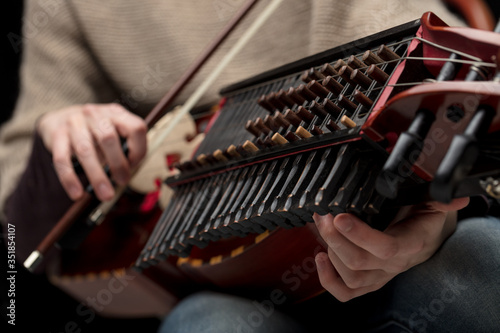 Close up on the keys of a modern nyckelharpa photo