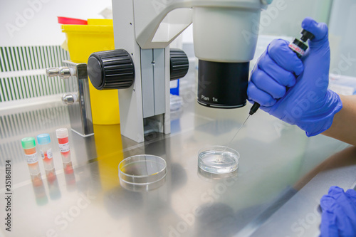 Bild auf Leinwand In vitro fertilization laboratory biotechnology cells analysis