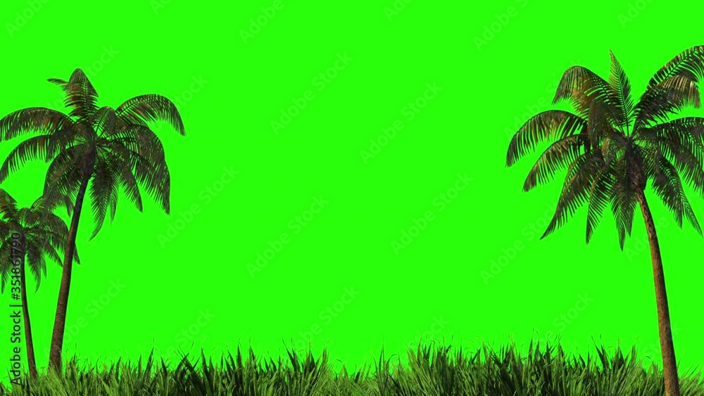 Harvesting, design palm trees and grass on a green background. 
Green screen for keying and alpha channel
