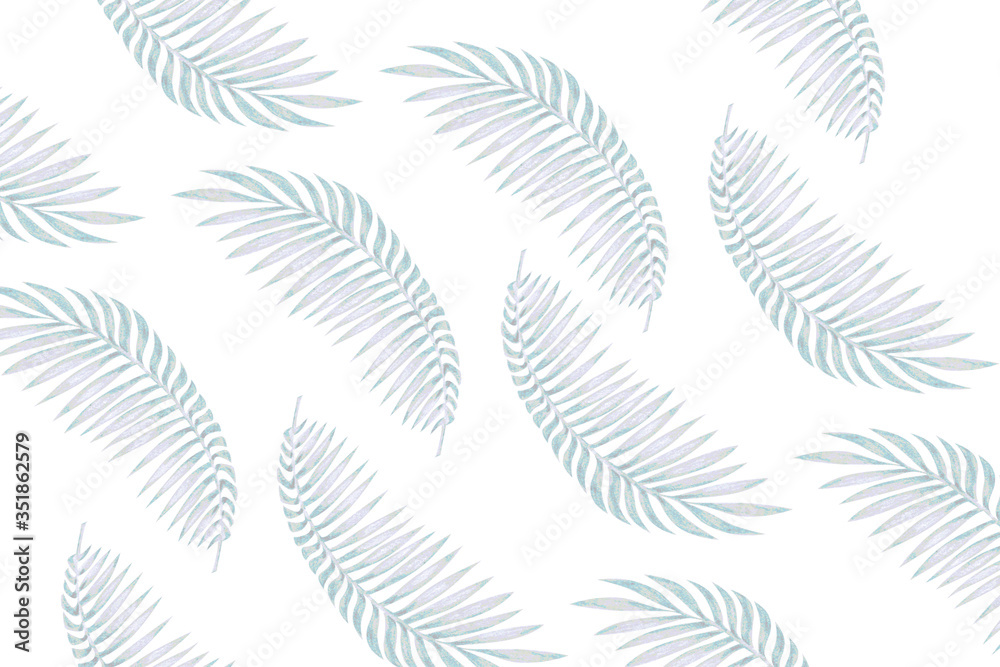 Pattern of palm leaves on a white background drawn by watercolor pencils.