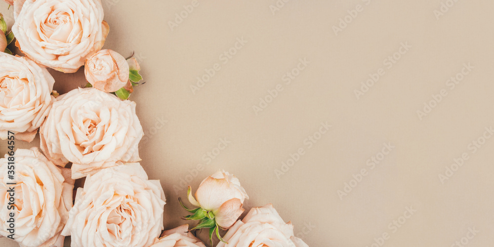 Spring background. Rose flowers on a beige background. Flat lay. Copy space for your text.