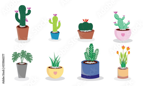 Set of house plants catuses and succulents.