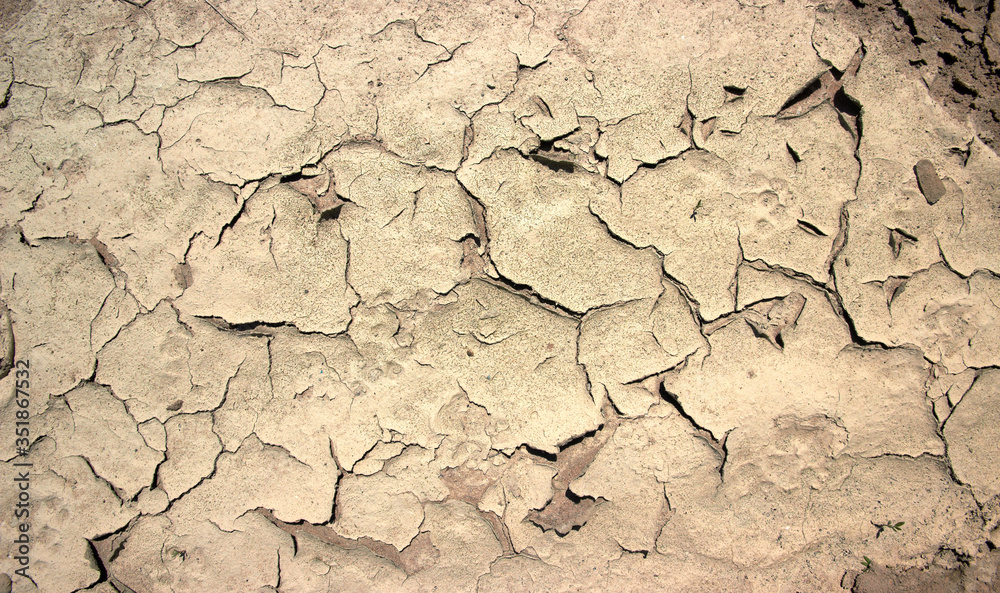 Fototapeta premium dry cracked ground without any grass dried after rain
