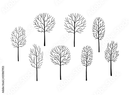 Naked trees silhouettes set. Hand drawn isolated illustrations