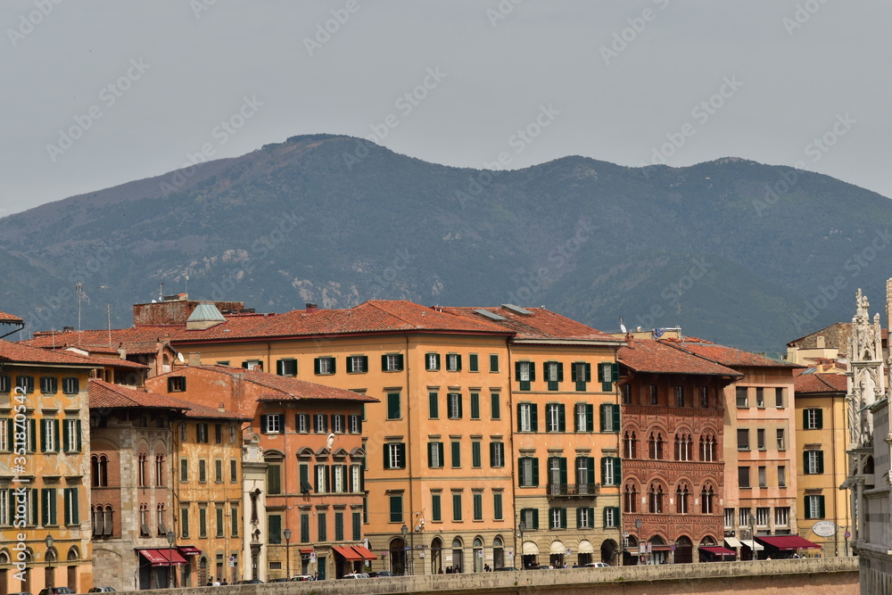 view of the town of Pisa