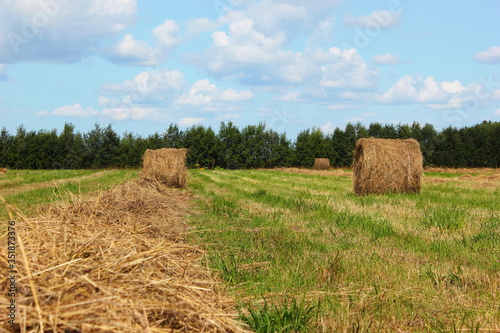 Haystack on the field