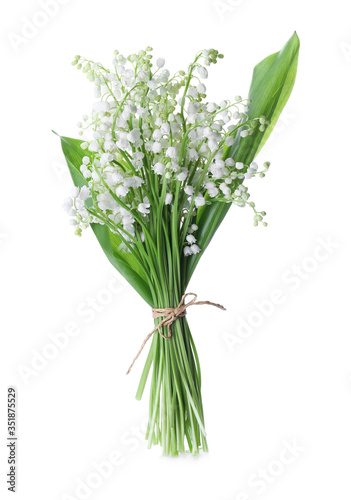 Beautiful lily of the valley flowers isolated on white