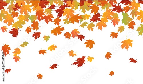 Oak and maple leaves falling down in autumn vector illustration. Bright colourful foliage flat style design. Fall season concept. Isolated on white background