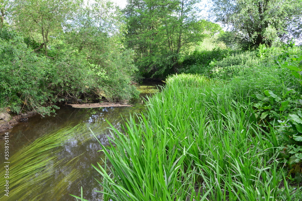 Fototapeta premium The River Mole in May in Horley in Surrey.
