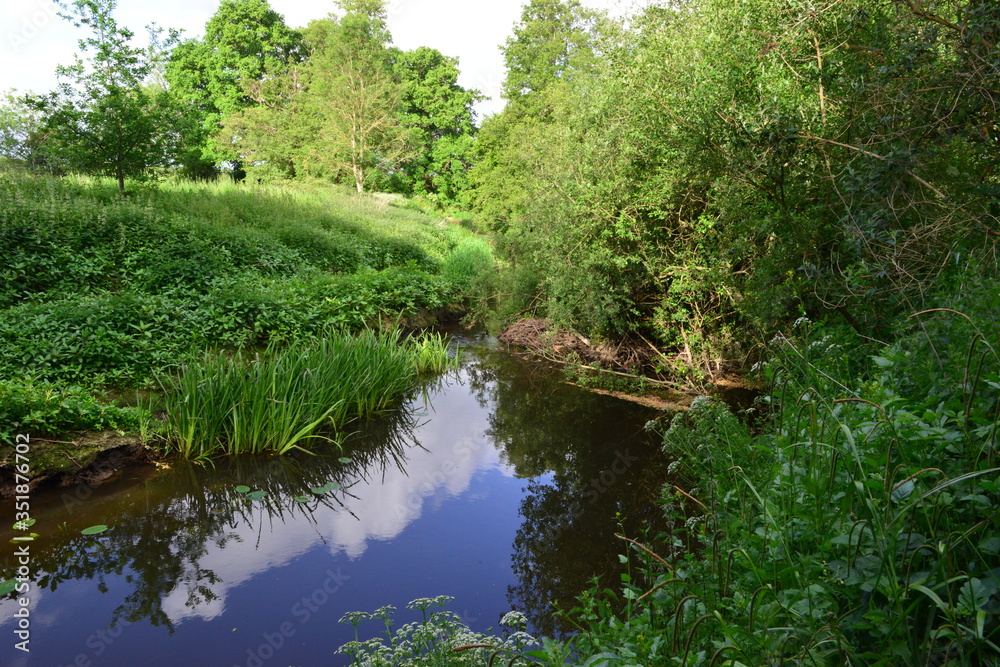 The River Mole in May in Horley in Surrey. The River Mole in May in Horley in Surrey.