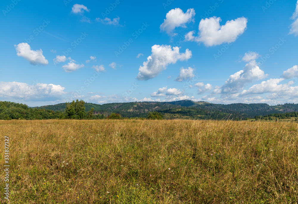 beuatifull scenery with meadow, trees, hills on the background and sky with few nice clouds