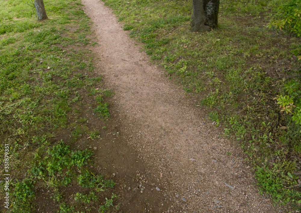 公園の道