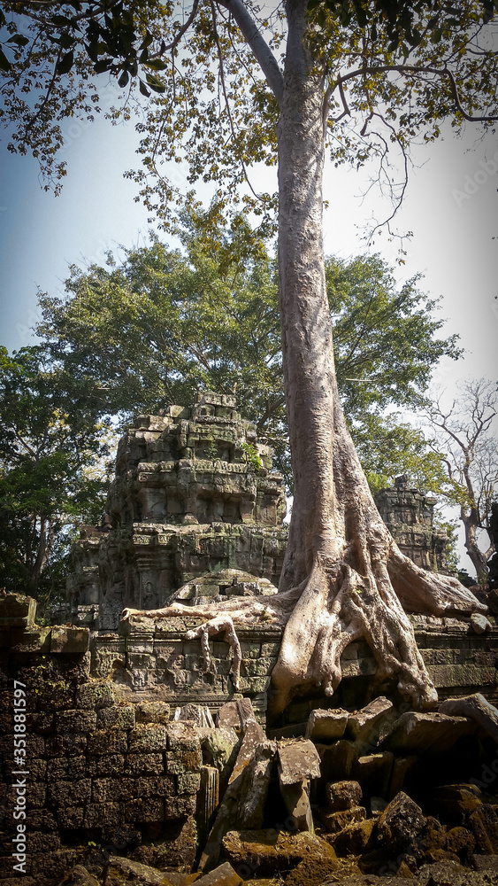 Ruins of the Ta Prohm temple in Cambodia. Amazing trees