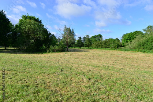 A field and a Meadow in Horley  Surrey  UK.