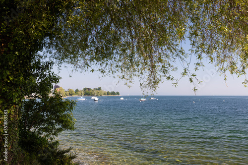 beautiful view over the Lake Constance in rorschach, switzerland, with overhanging tree