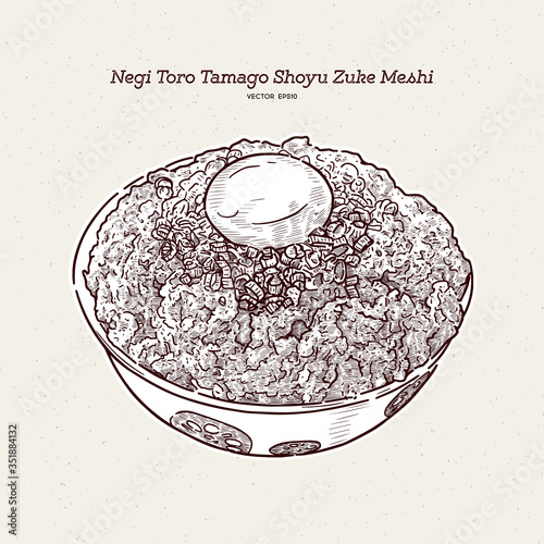 Negi Toro Tamago Shoyu Zuke Meshi Donburi, hand draw sketch vector.