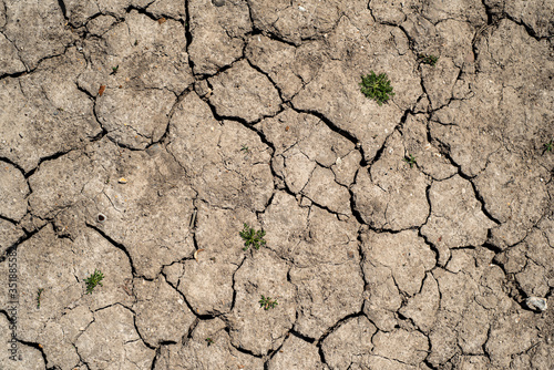 Hot dry cracked earth ground. Drought