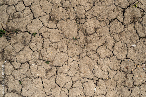 Dry cracked earth / soil - water shortages