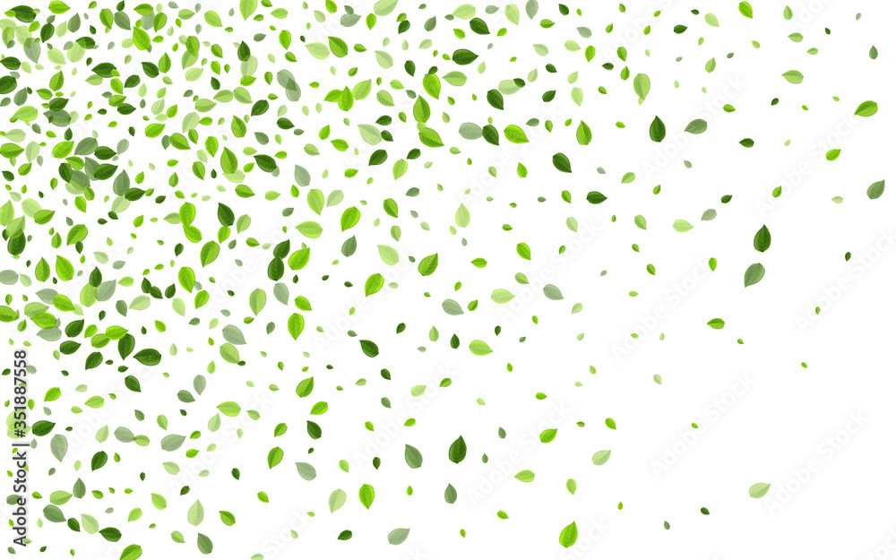 Mint Leaves Falling Vector Concept. Fly Greens Mint Leaves Falling Vector Concept. Fly Greens