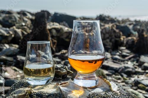 Tasting glass of Scotch whisky and sea shore during low tide, smoky whisky pairing with oysters