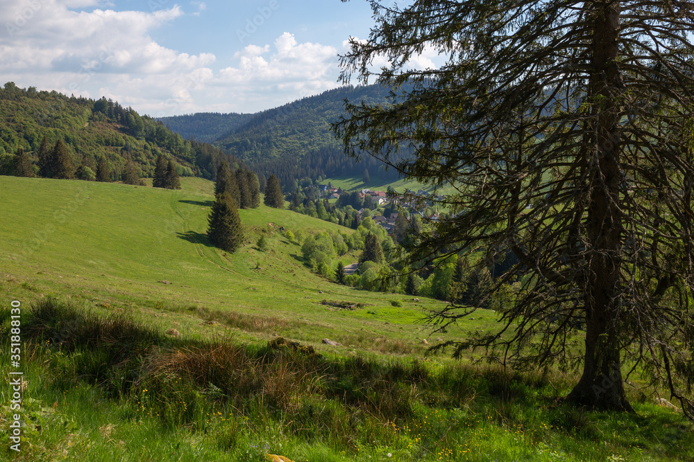 Erlebnis Rundweg Muggenbrunn Black Forest Schwarzwald Germany